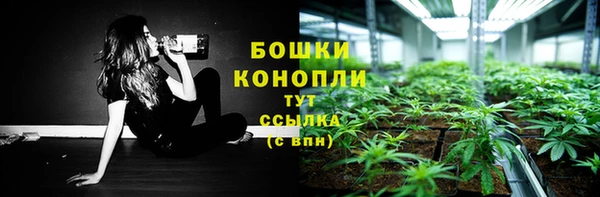 бошки Алзамай