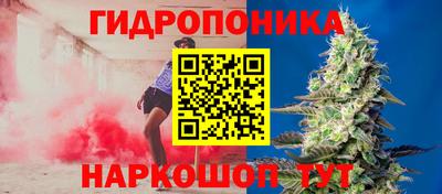 apvp Владимир
