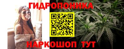 МДПВ Владивосток