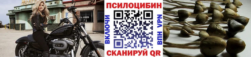 Галлюциногенные грибы Cubensis  Всеволожск 