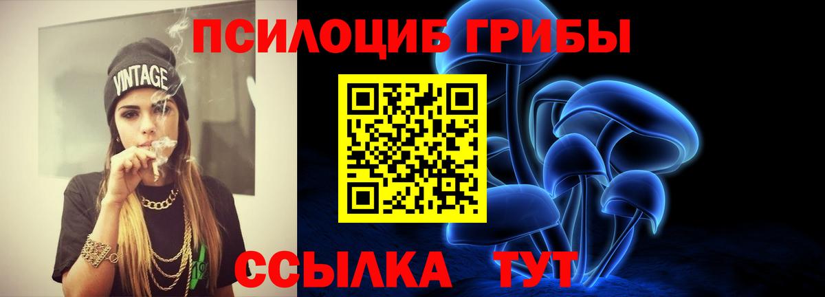 где найти наркотики  Галлюциногенные грибы GOLDEN TEACHER  Всеволожск  Вход с VPN  Псилоцибиновые грибы Psilocybine cubensis 